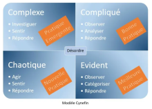 Framework cynefin